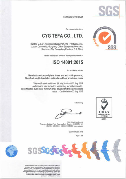 Porcellana Cyg Tefa Co., Ltd. Certificazioni